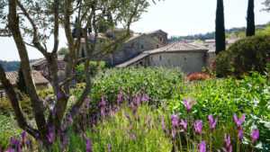 Le jardin Le jardin
