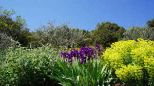 Le jardin Le jardin